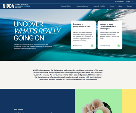 NIODA Website Screenshot